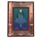 Championship Plaque 2002S