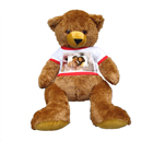 Teddy